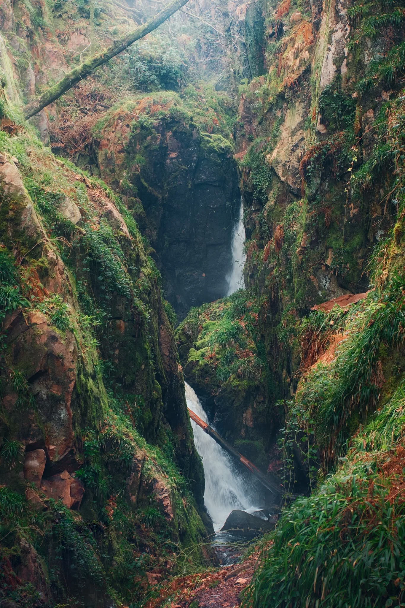  Eventually, the glory of Stanley Ghyll Force came into view. This was as close as we were allowed to get to it. Still some absolutely crackin&rsquo; light flooding into the gorge though. 