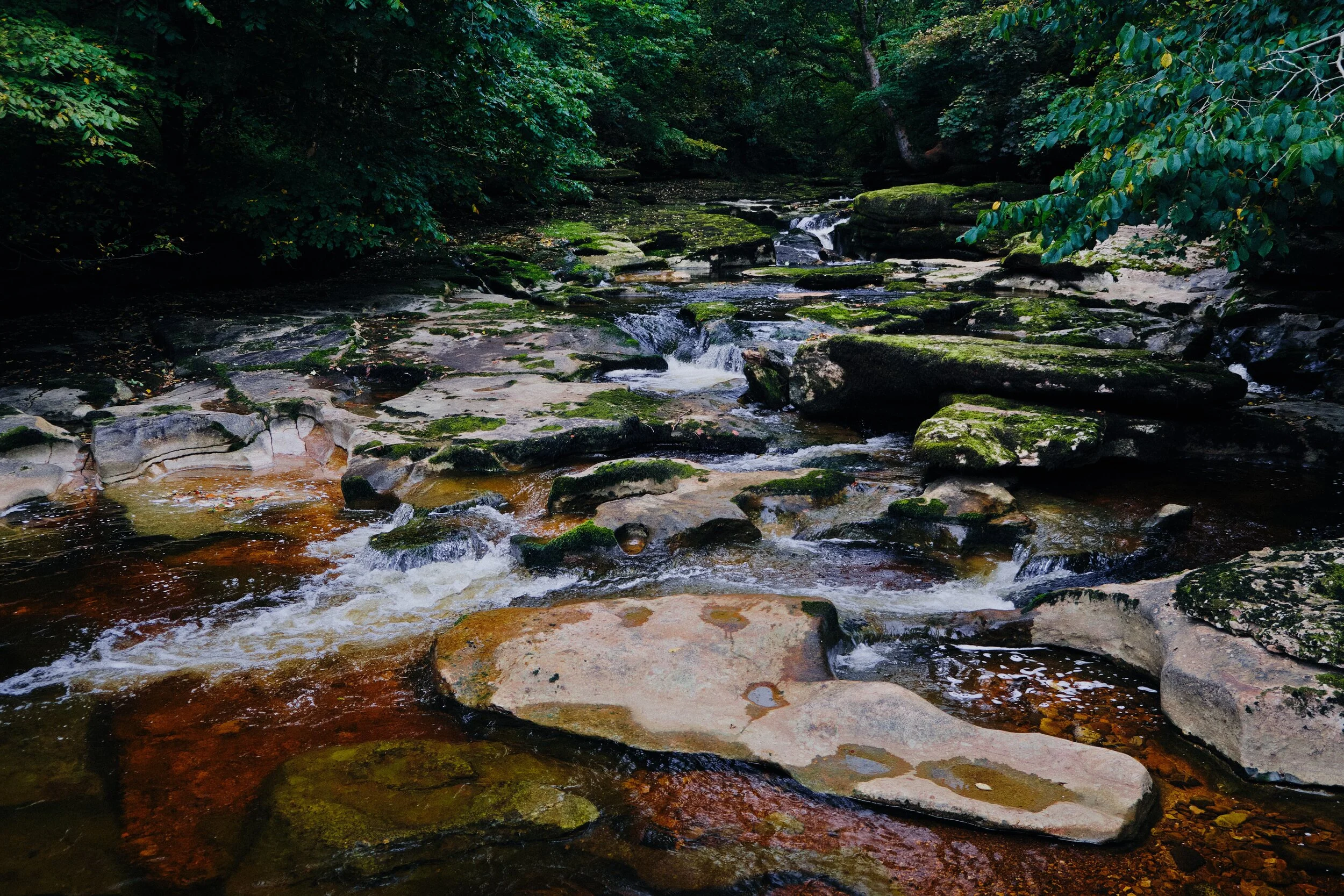 _Dsf2999_Export Copy