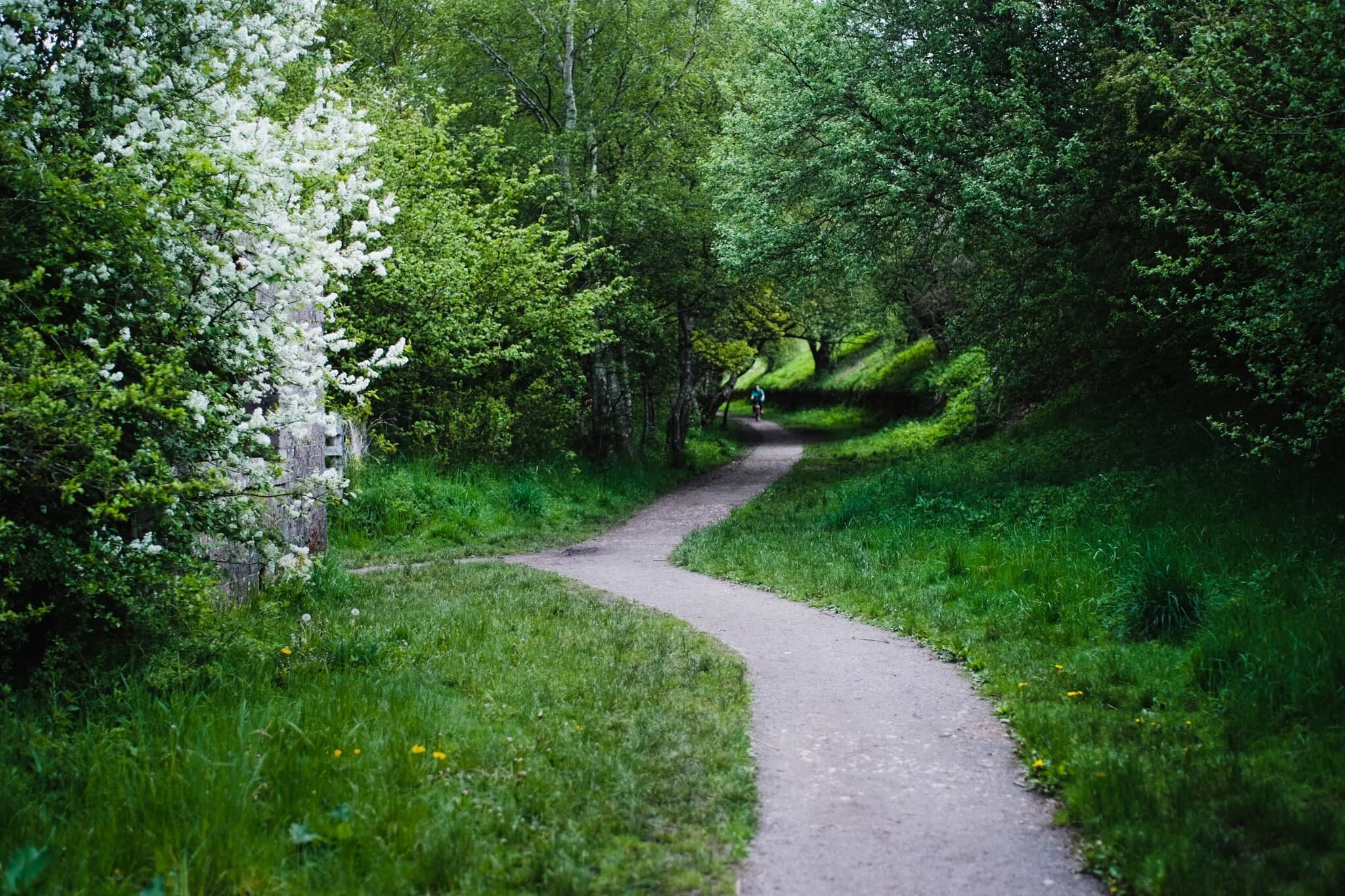  Around here, it&rsquo;s easy to tell that this trail was once a railway line. 