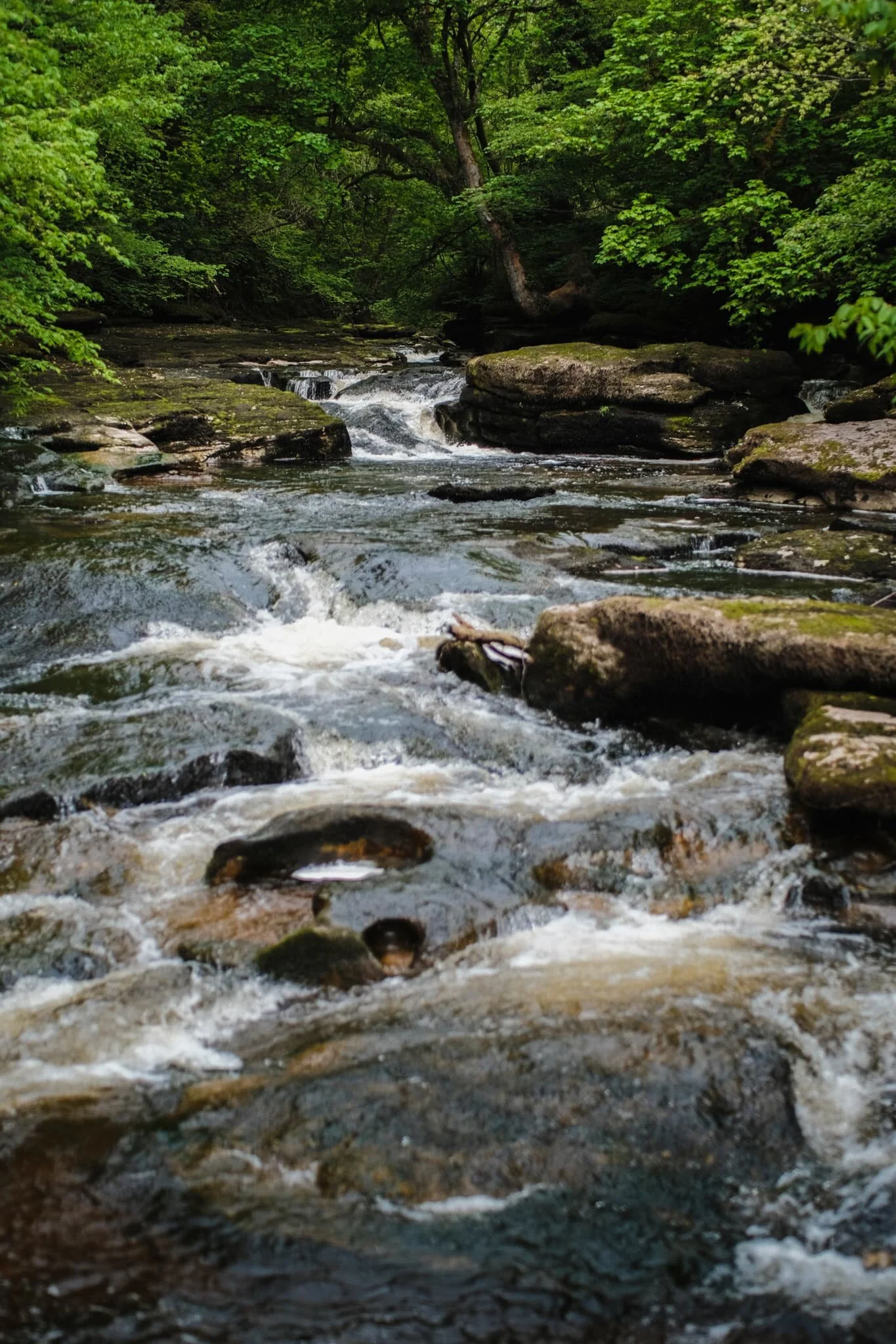  A lovely series of cascades. 