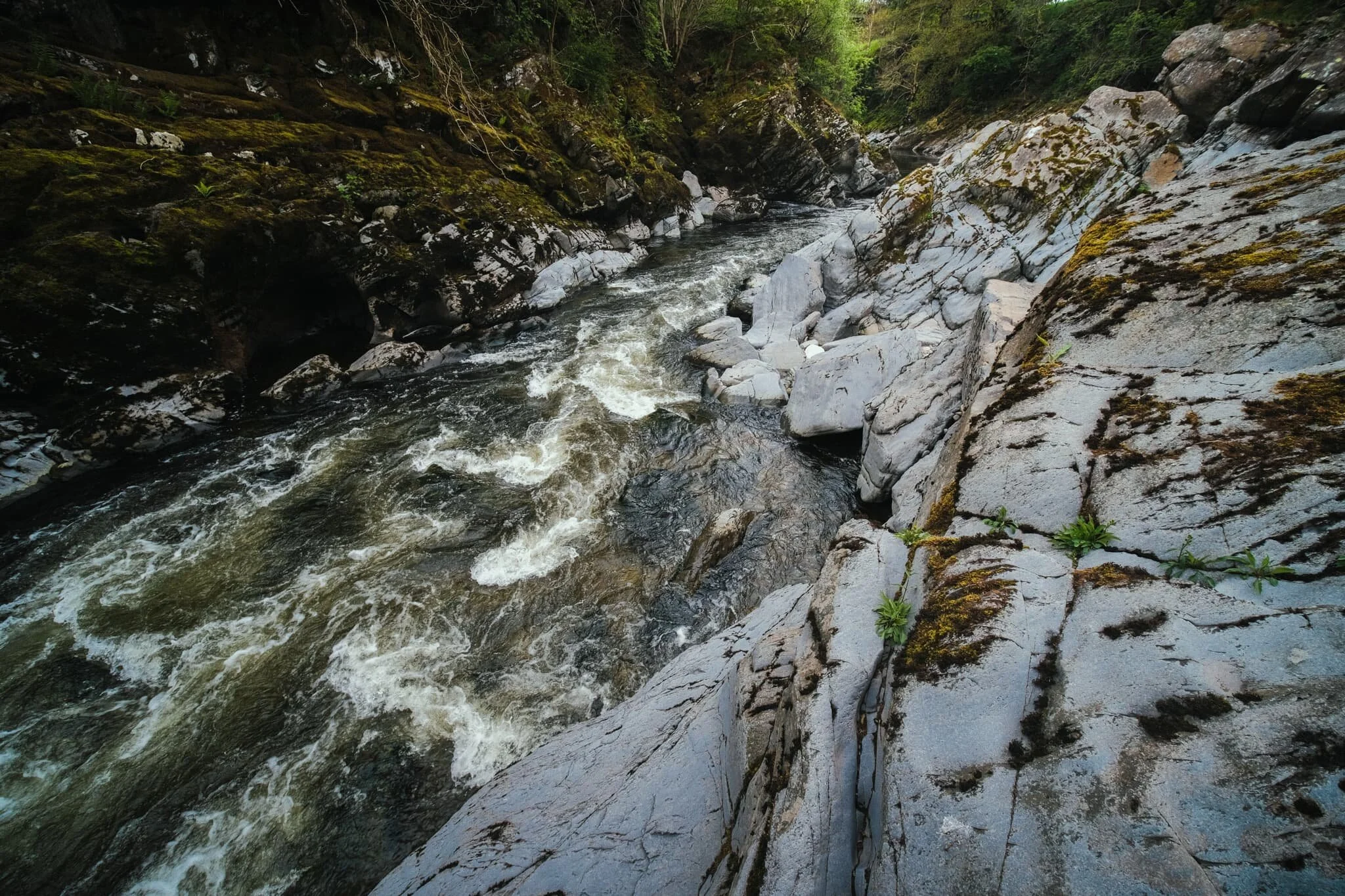  The view of the Lune Gorge downstream. 