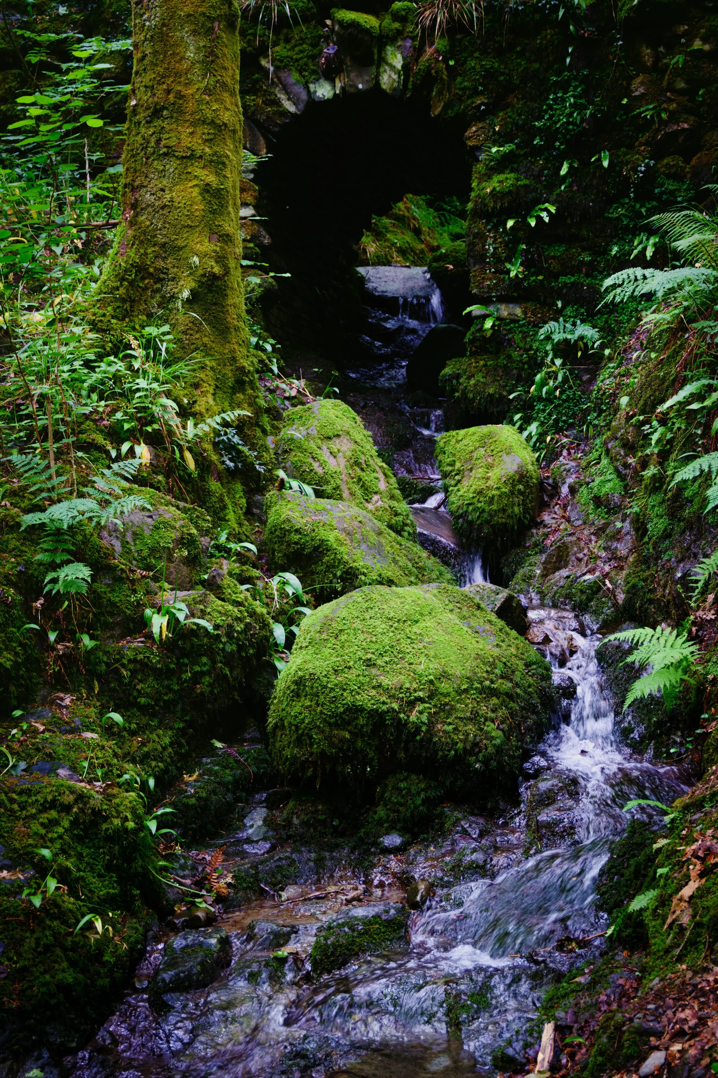 Dscf1702 Enhanced_Edit Export