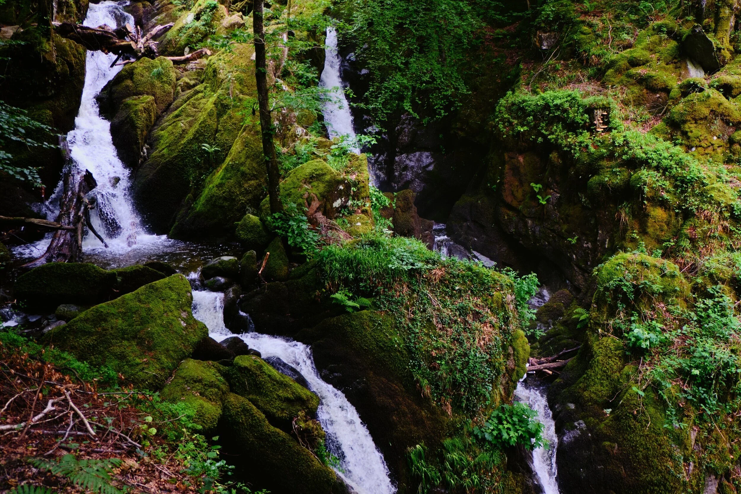 Dscf1710 1714 Export Pano Export