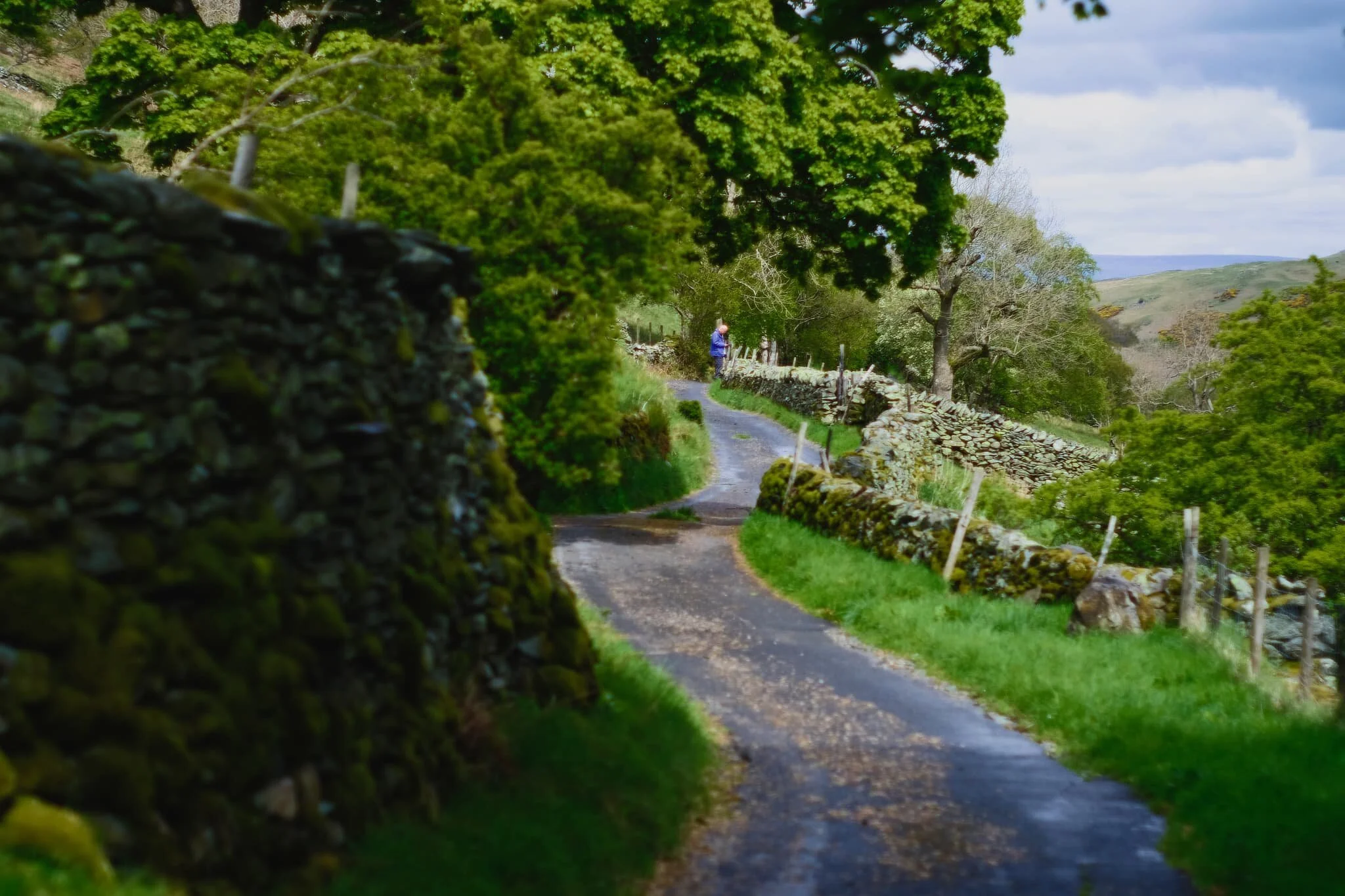  And, just as we start to head back out of the valley, the rain stops and the sun makes an appearance. Never mind.  