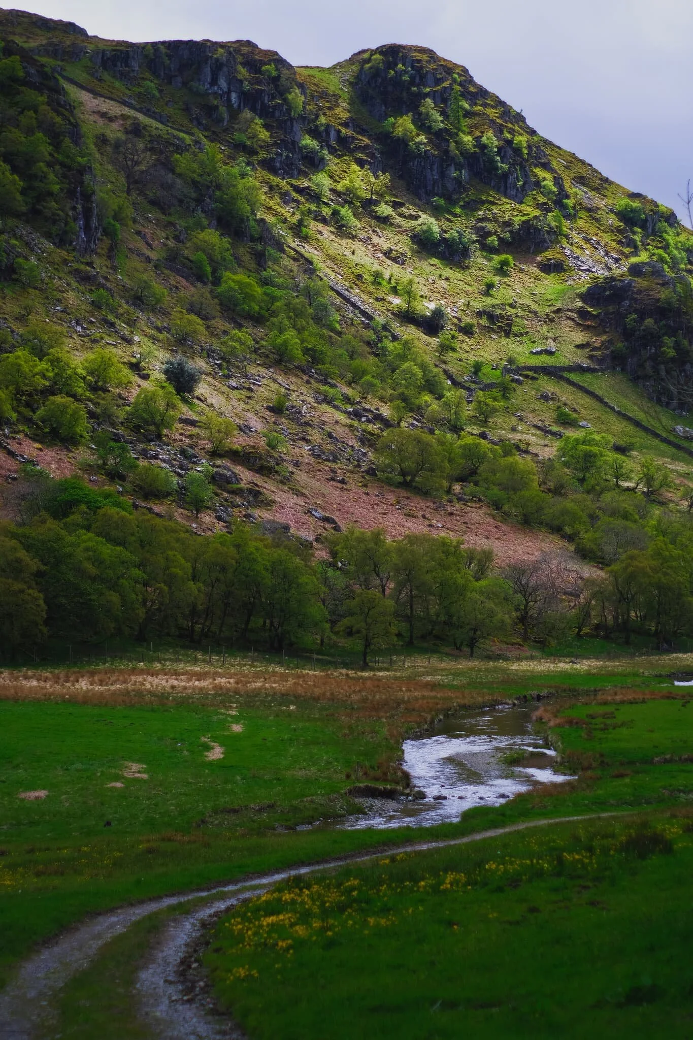  The flood plains of Swindale, now able to flood naturally as the river&rsquo;s been rewiggled. 