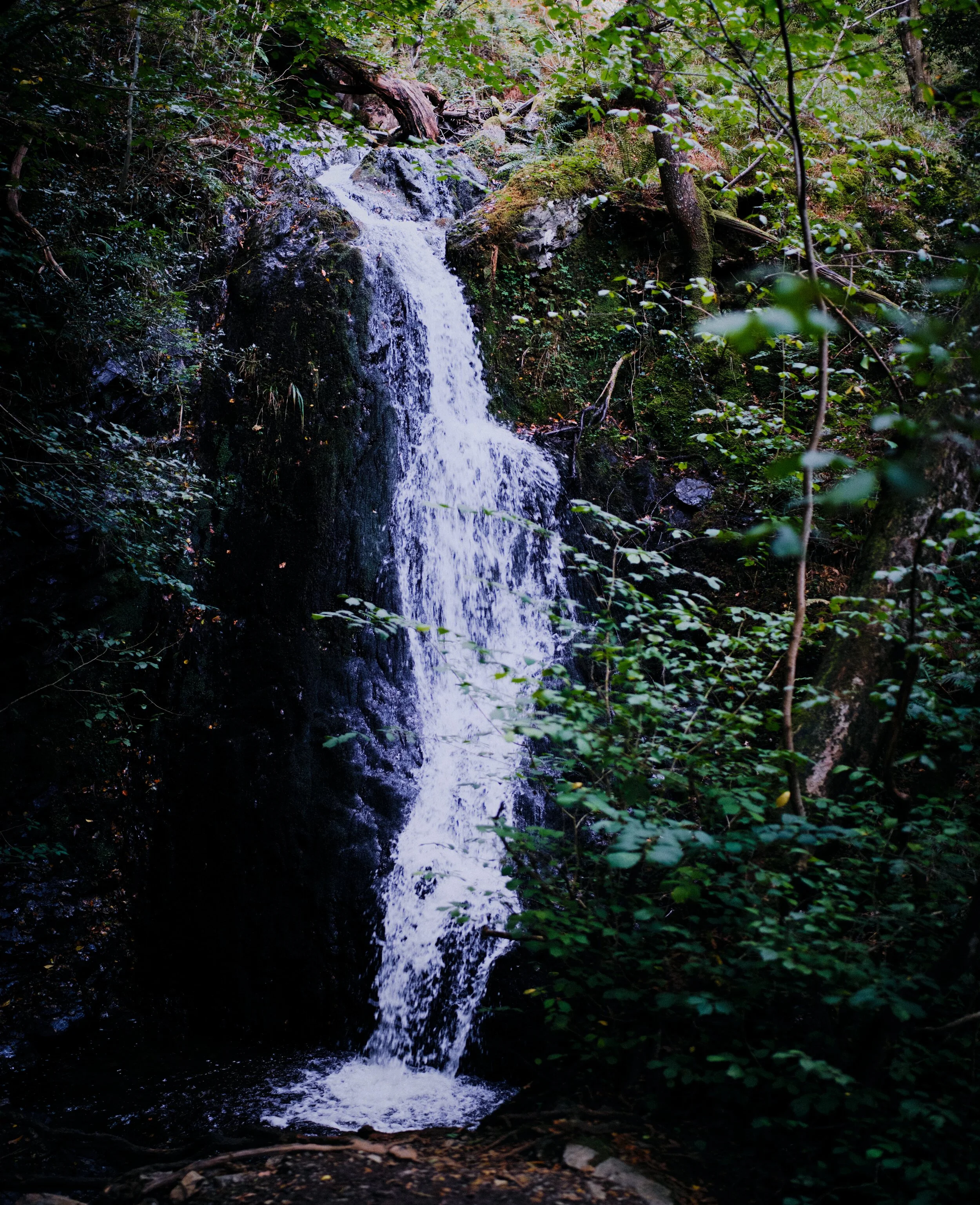  The main waterfall of the Tom Gill falls, dropping 30 ft. This is a vertorama, or even a &ldquo;bokehrama&rdquo;, comprised of six landscape frames at 35mm/f1.2, stacked top to bottom. 