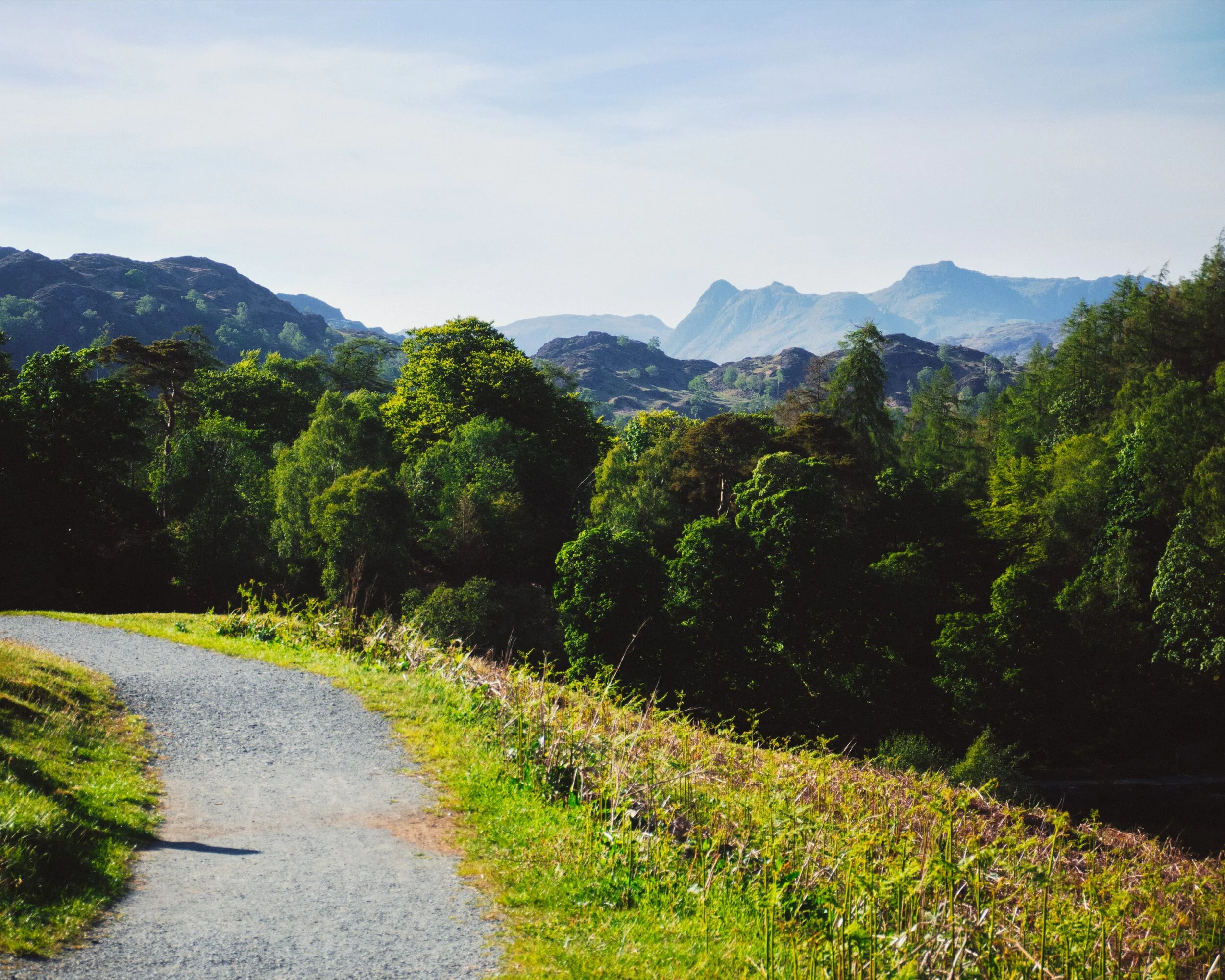  The Langdale Pikes on the right, looking as gorgeous as ever. 