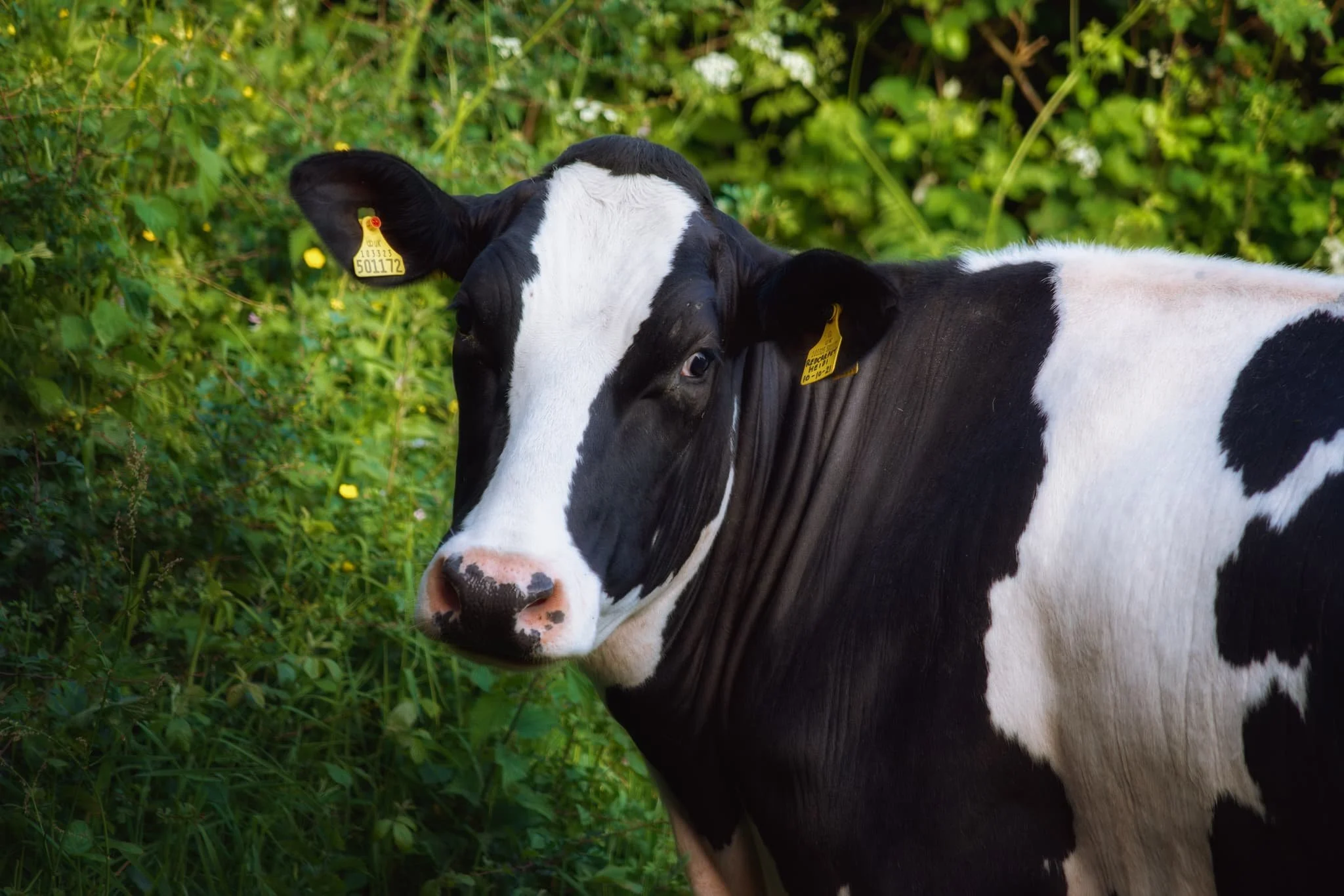  I zoomed in tight on this beaut, giving us The Eye. 