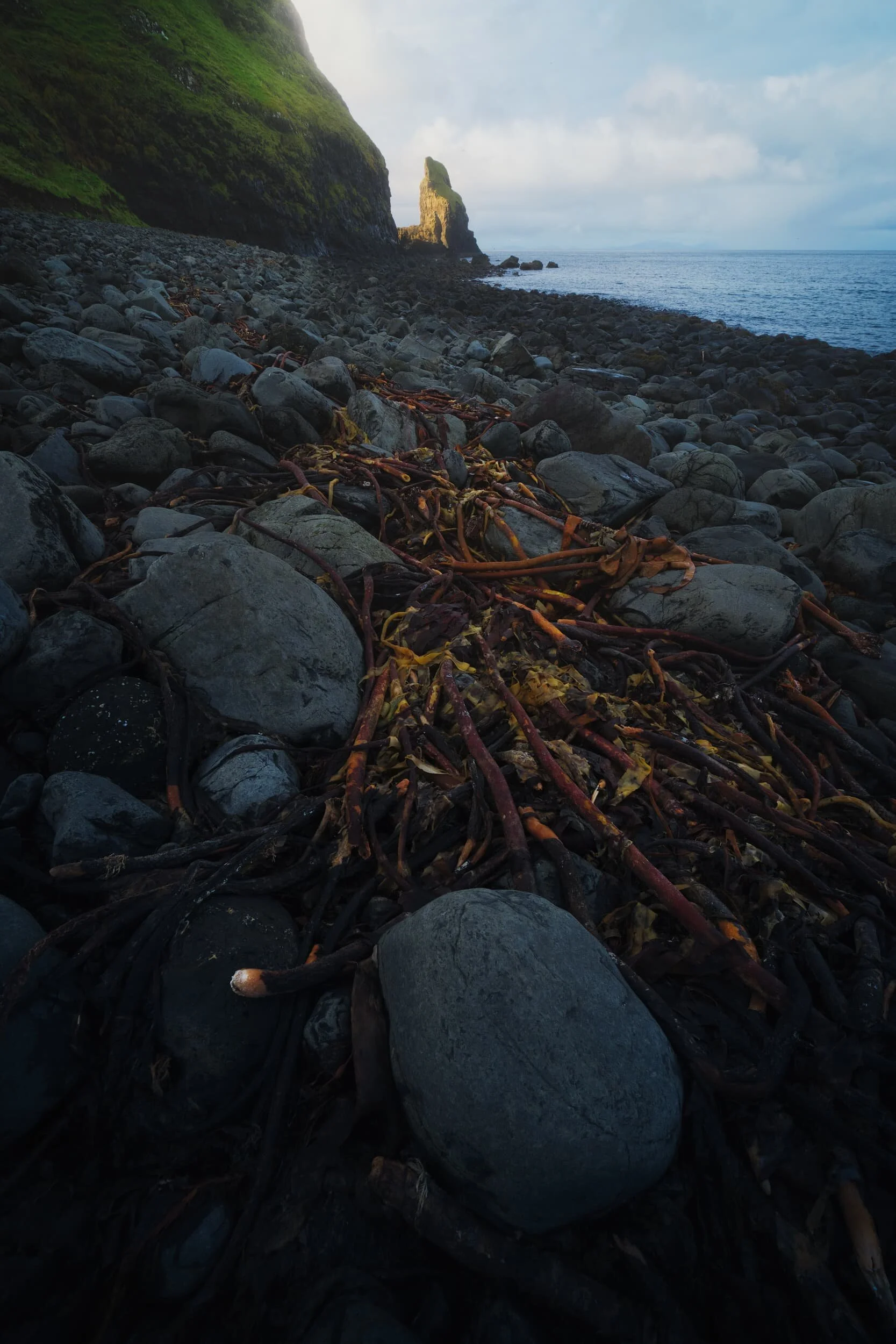  On the southern side of the Bay is the sea stack known as Talisker Point, here catching some morning light. 