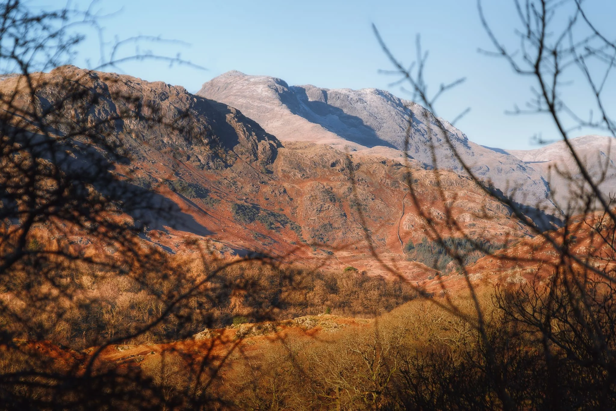 As Smithy Brow starts to ascend, I spot a gap through the trees to the mighty Bowfell (902 m/2,959 ft), with a little whisper of snow on it. 