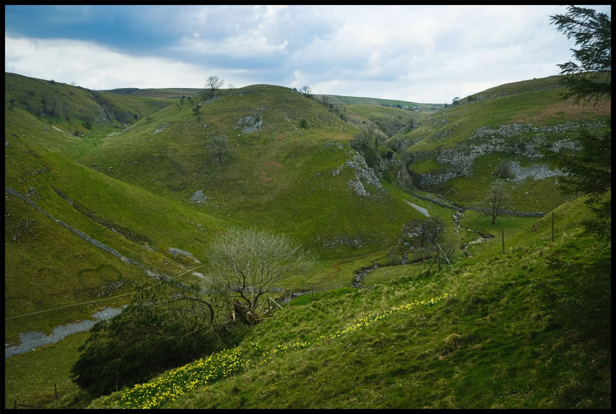  And there it is. Trollers Gill to the right and Middle Fell in the centre, daffodils blooming below. What a fantastic scene. 