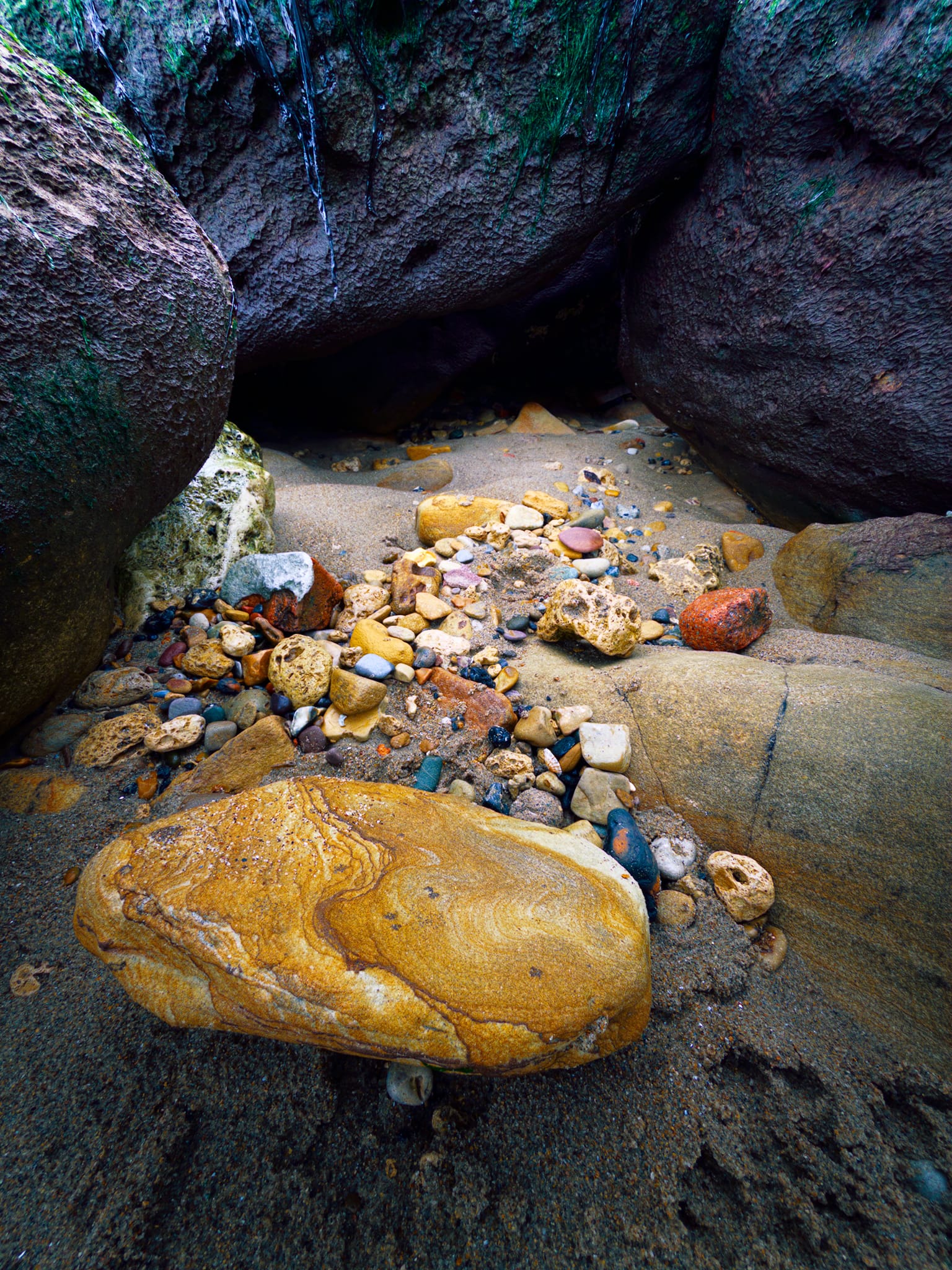 Another gap in the rockfall revealed this scene, showing that the boulders were sitting on top of a wave-cut sandstone bed.