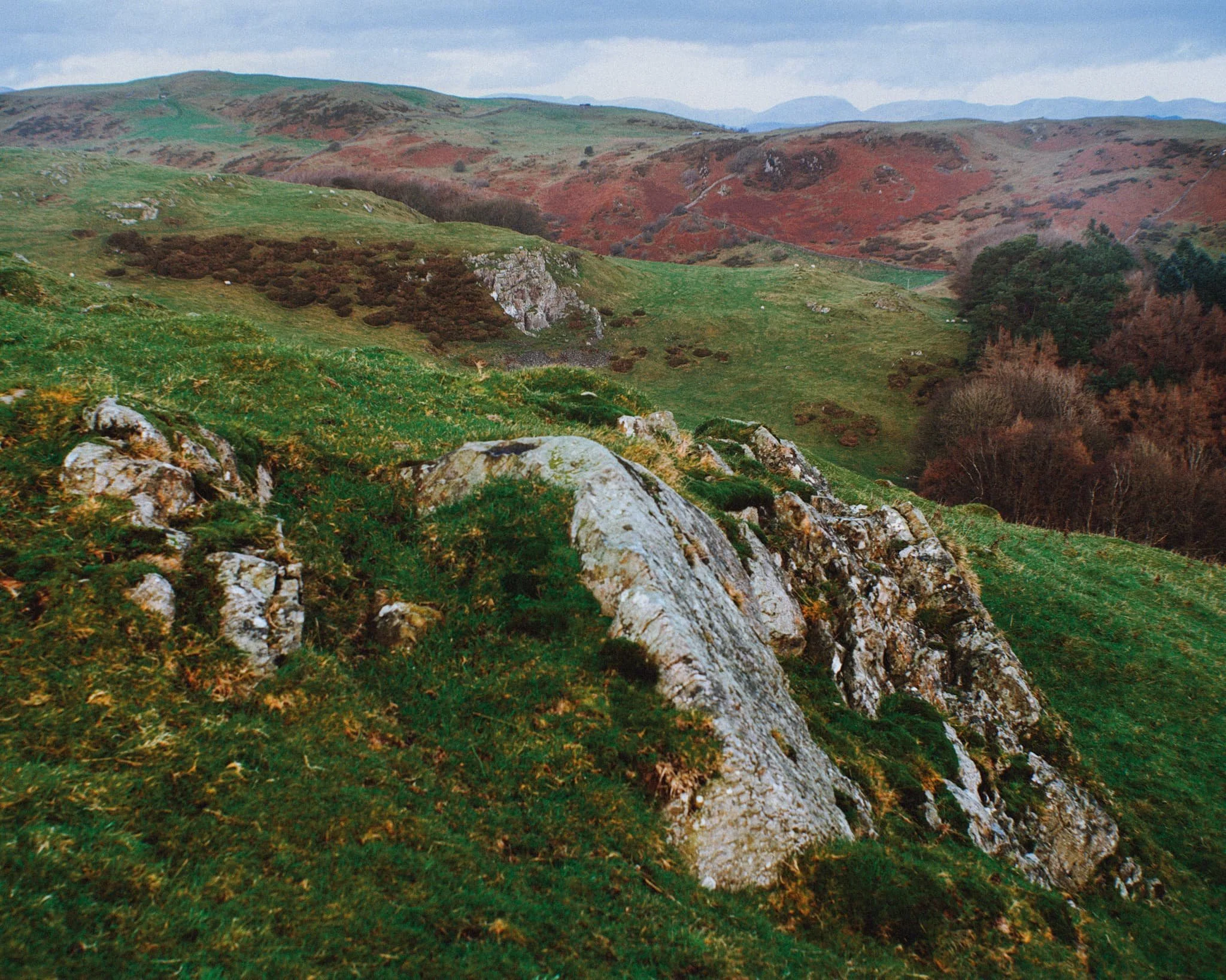  Near the top of the hill, as the trail levelled out, we could start making out the Lakeland fells above the Furness hills. The particularly rounded fell centre-right is Wetherlam (763 m/2,502 ft). 