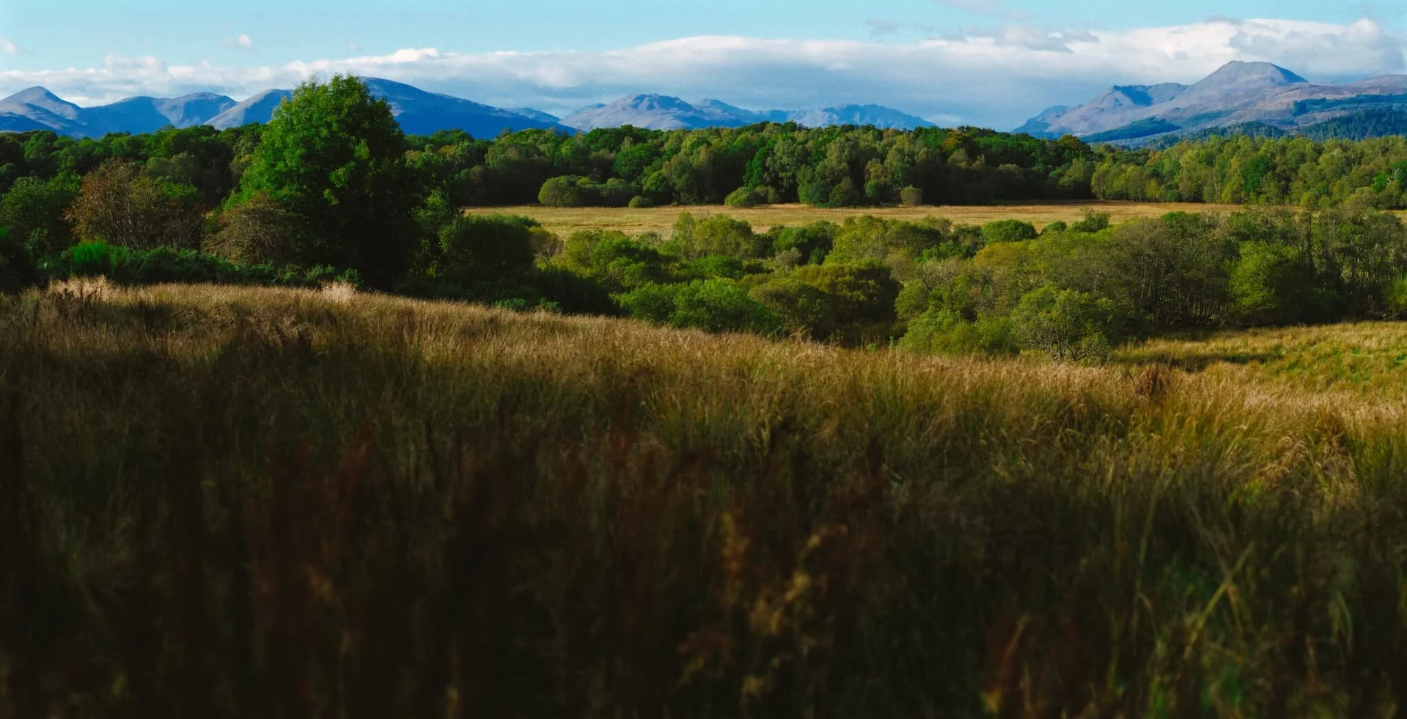  From our little cottage accommodation, a brief 5–10 minute walk took us to RSPB Scotland&rsquo;s Loch Lomond Nature Reserve. As well as exploring the marshy woodland, it offers a frankly stunning viewpoint, taking in the entirety of the Loch Lomond mountains. A stitched together this panorama with my 55mm lens in an attempt to accurately capture the entire view. 