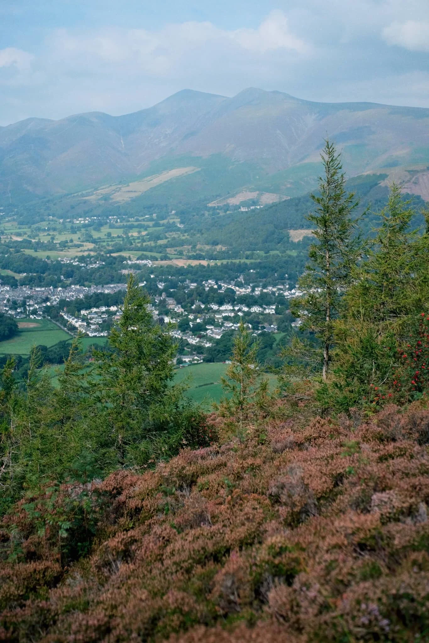  Another lovely aspect to Walla Crag&rsquo;s environment is the sheer abundance of pink heather everywhere. 