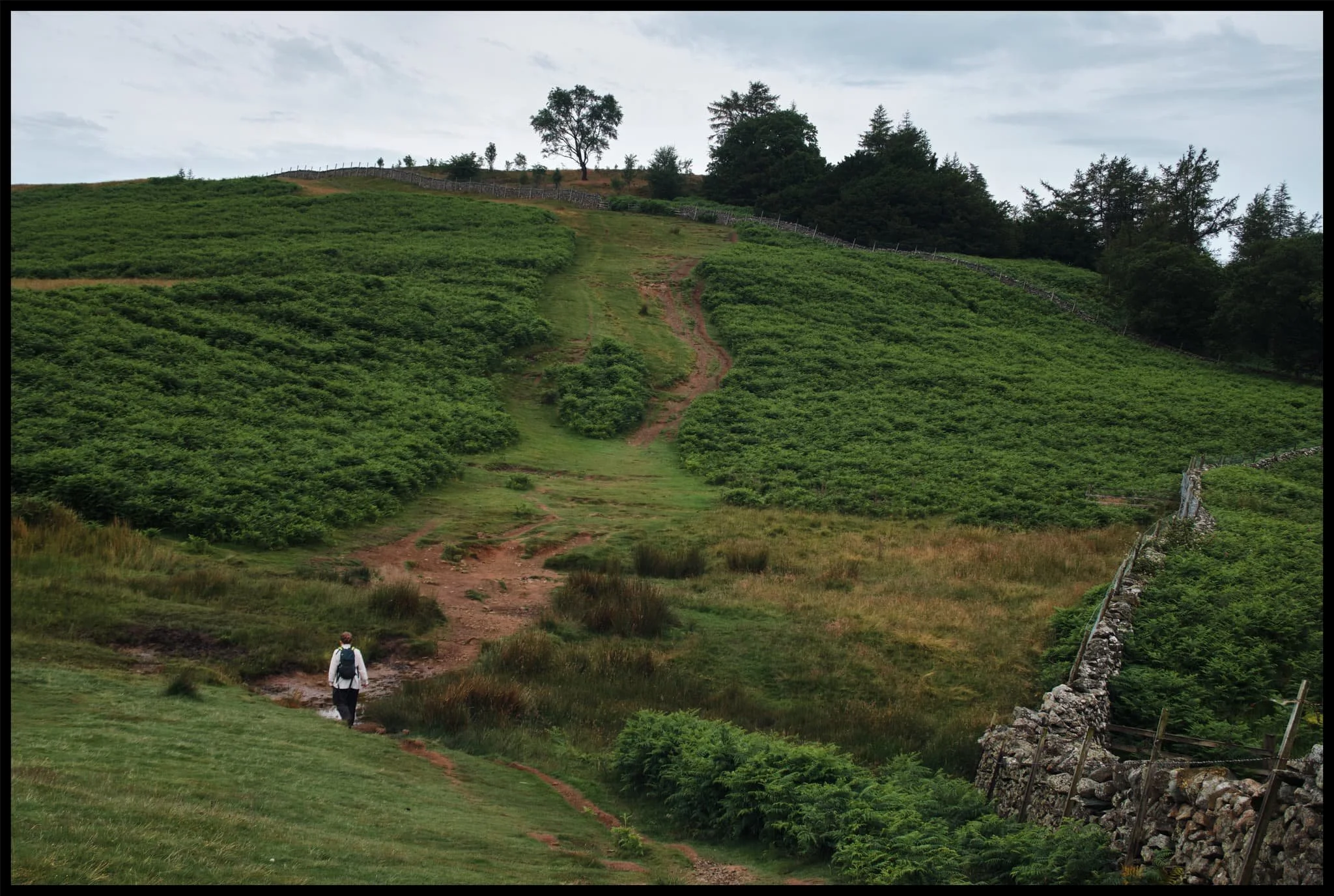  The way up to Walla Crag, a short and sharp ascent. 