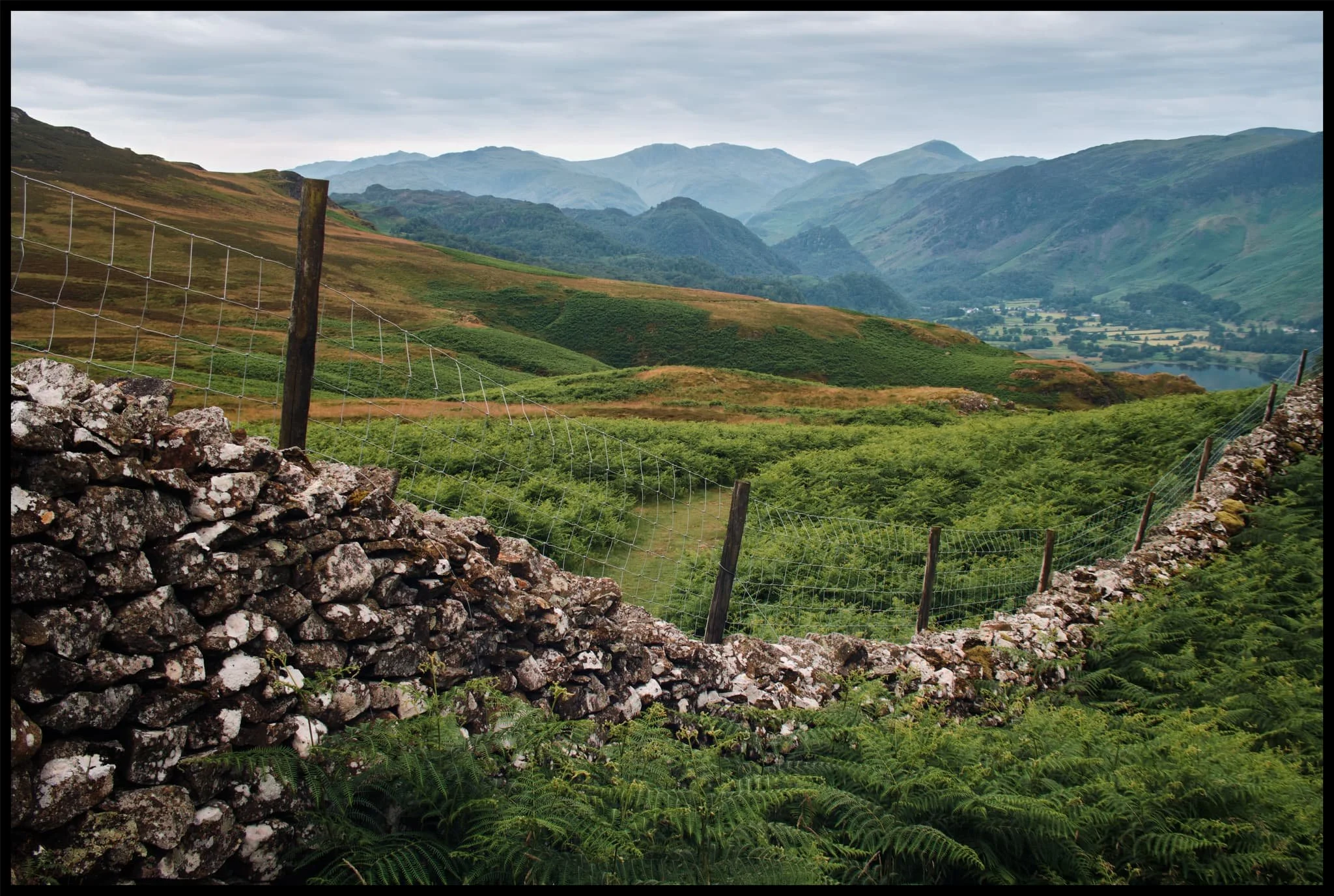  Probably my favourite composition of the day. The drystone wall keeps livestock out of the Walla Crag area, allowing flora to flourish. In the distance is Derwentwater&rsquo;s southern tip with the Borrowdale fells high above. 