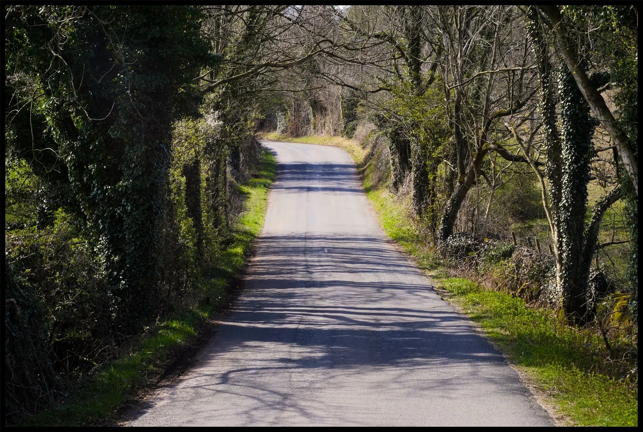  How lush this will all look when the trees are all in leaf. 