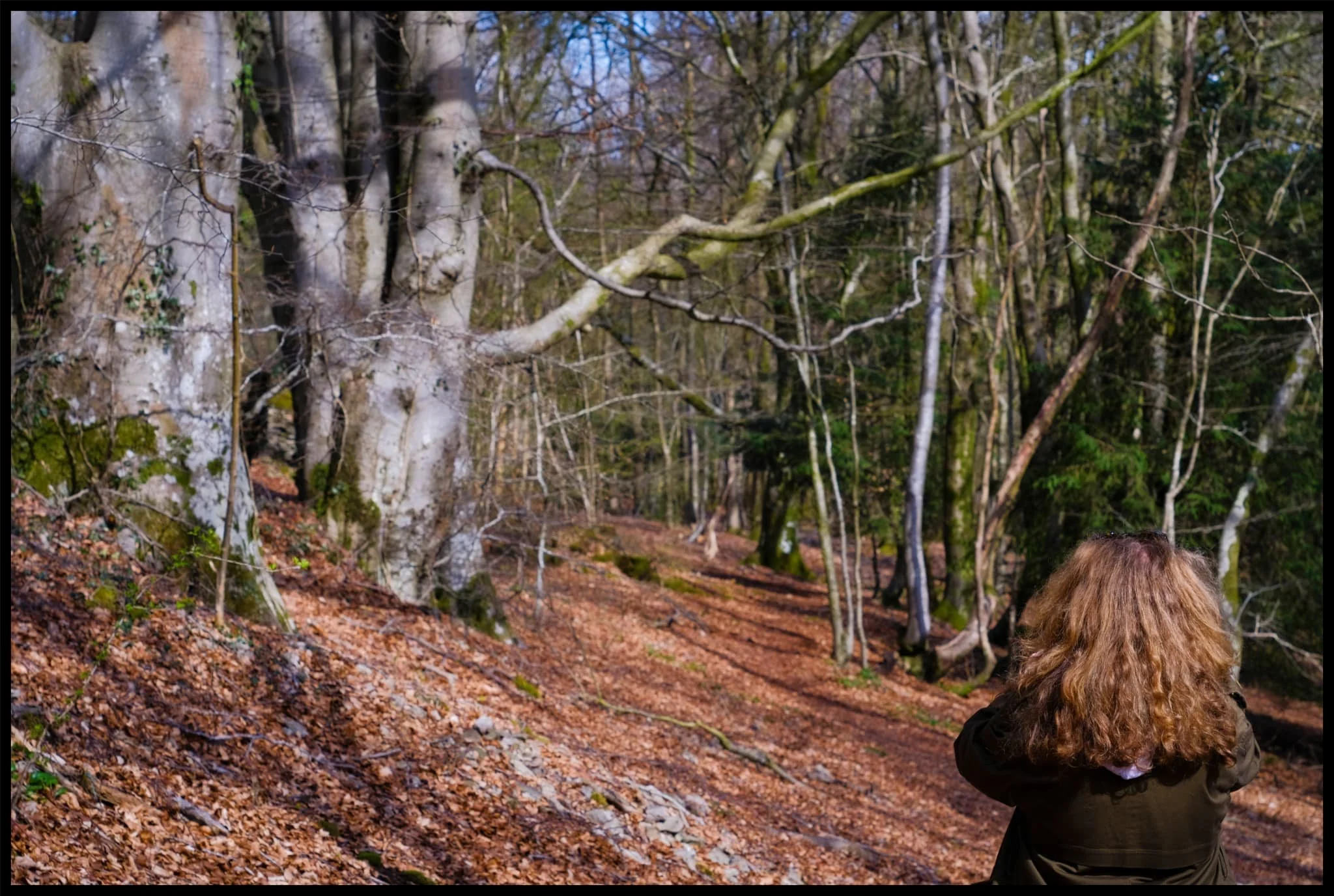  Lisabet in her element, whilst also beautifully blending in with palette of the scenery. 