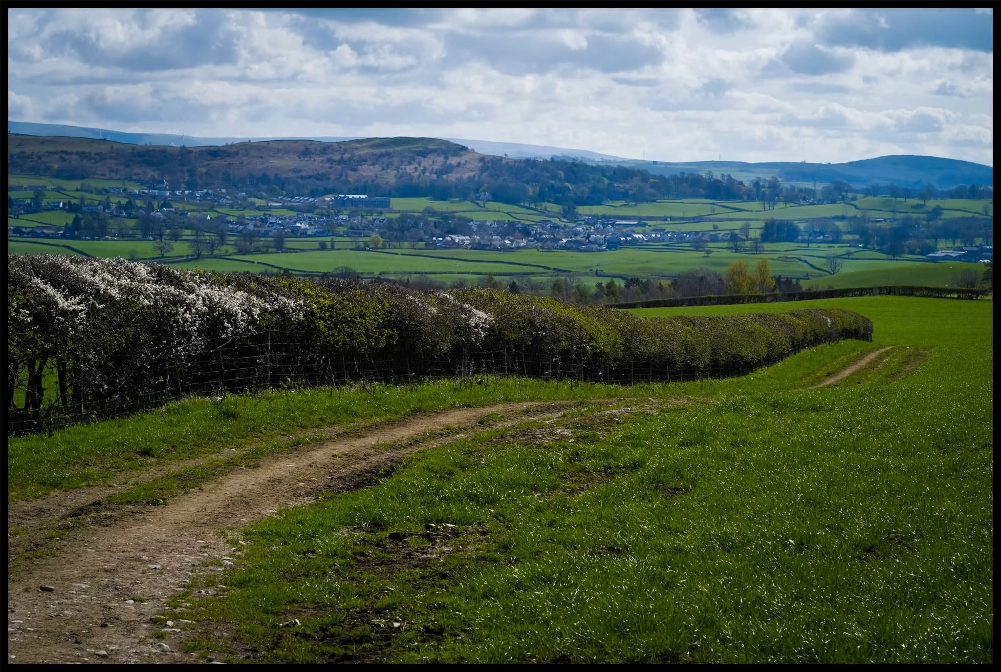  Following the hedgerow back down the slopes of Helsington Laithes, with the Helm serving as a local beacon in the distance. 