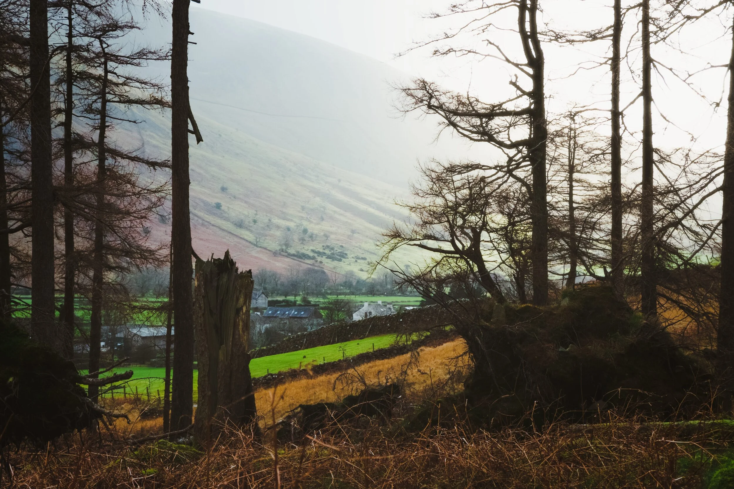  A shot of the light emerging from the overcast sky, which hit the slopes of Lingmell as we climbed back out of the gill containing Ritson&rsquo;s Force. I tried to use the trees as a framing device. 