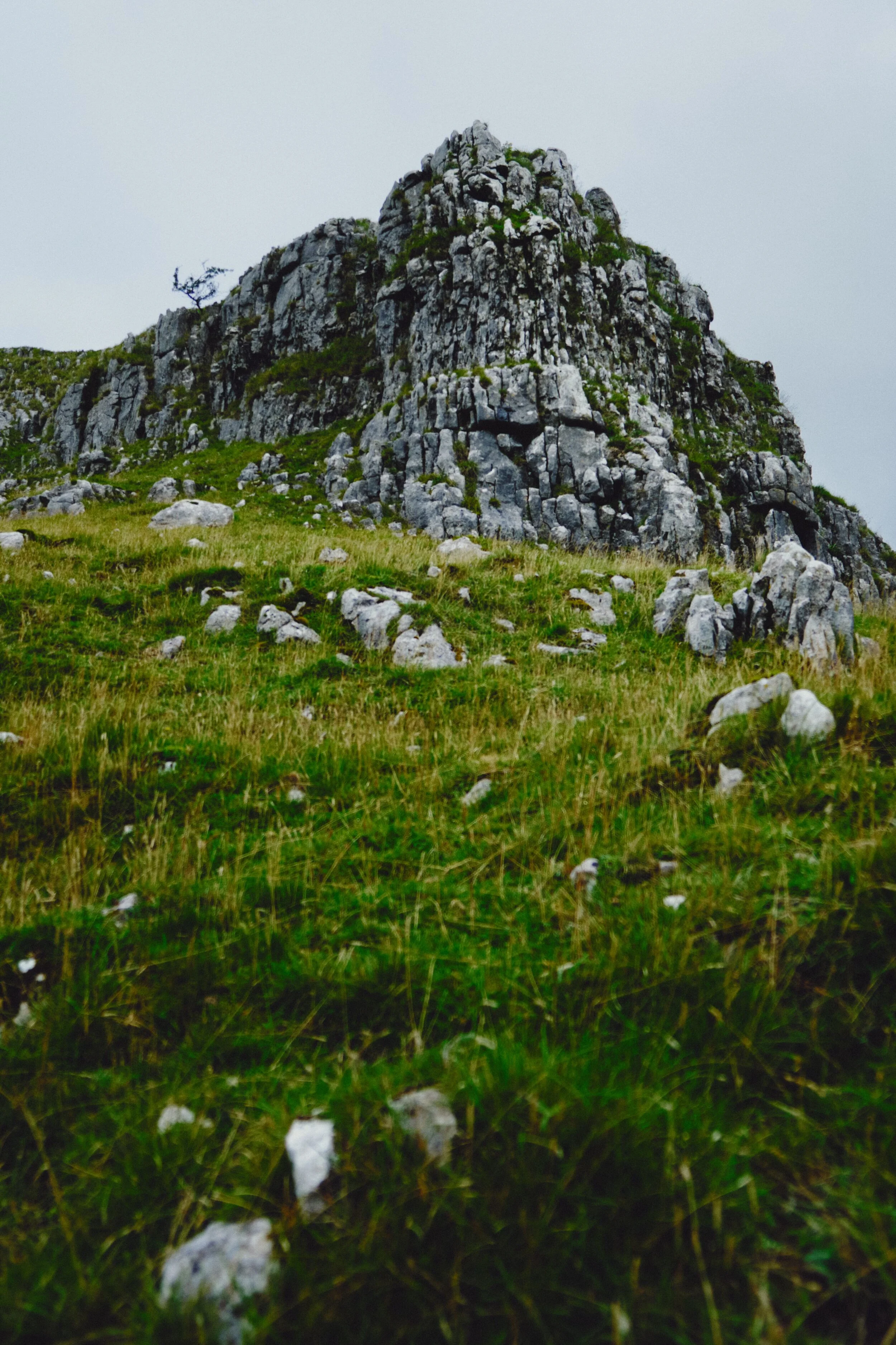  One of the limestone crags above the gorge. 
