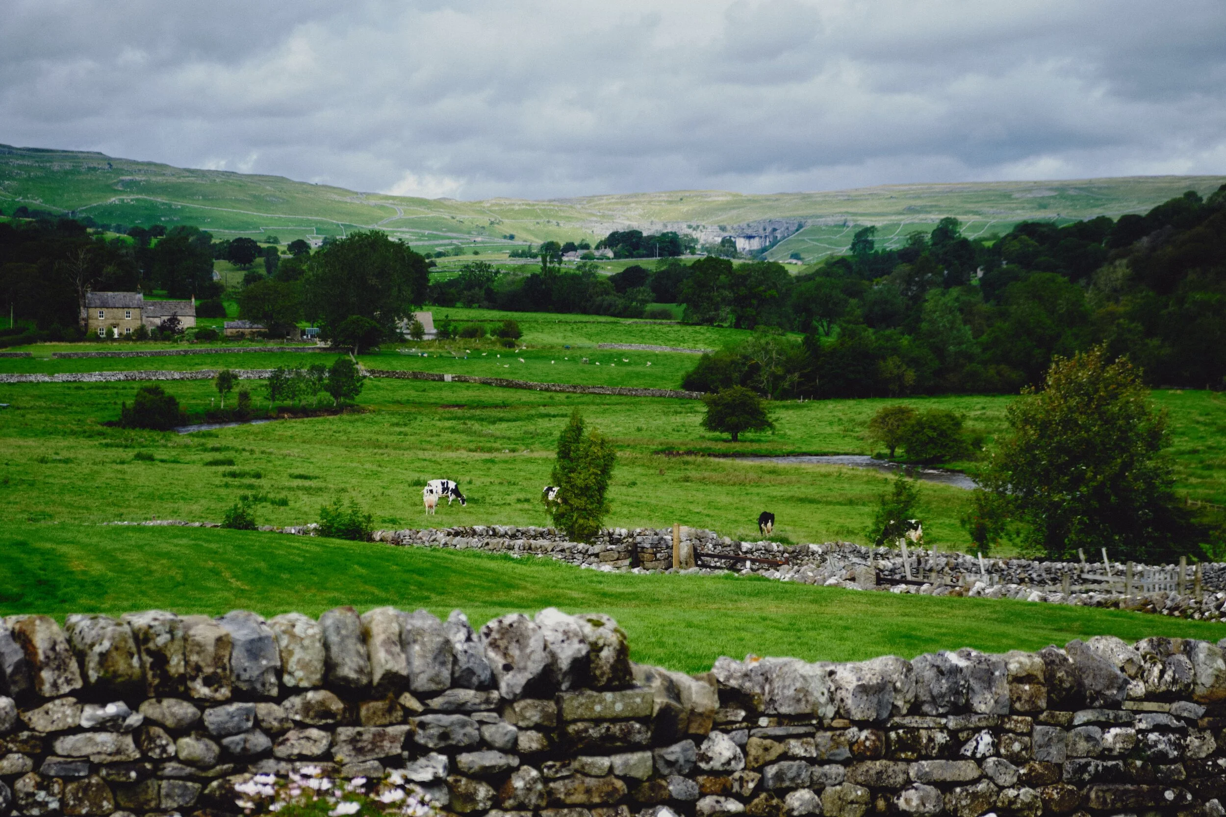  After returning back to the car, and then navigating through a frankly overcrowded Malham village, we stopped off at Town End Farm Shop for refreshment. The views from the farm back to Malham are sublime. Highlighted in the distance, you can just make out the curved wall that is Malham Cove. 