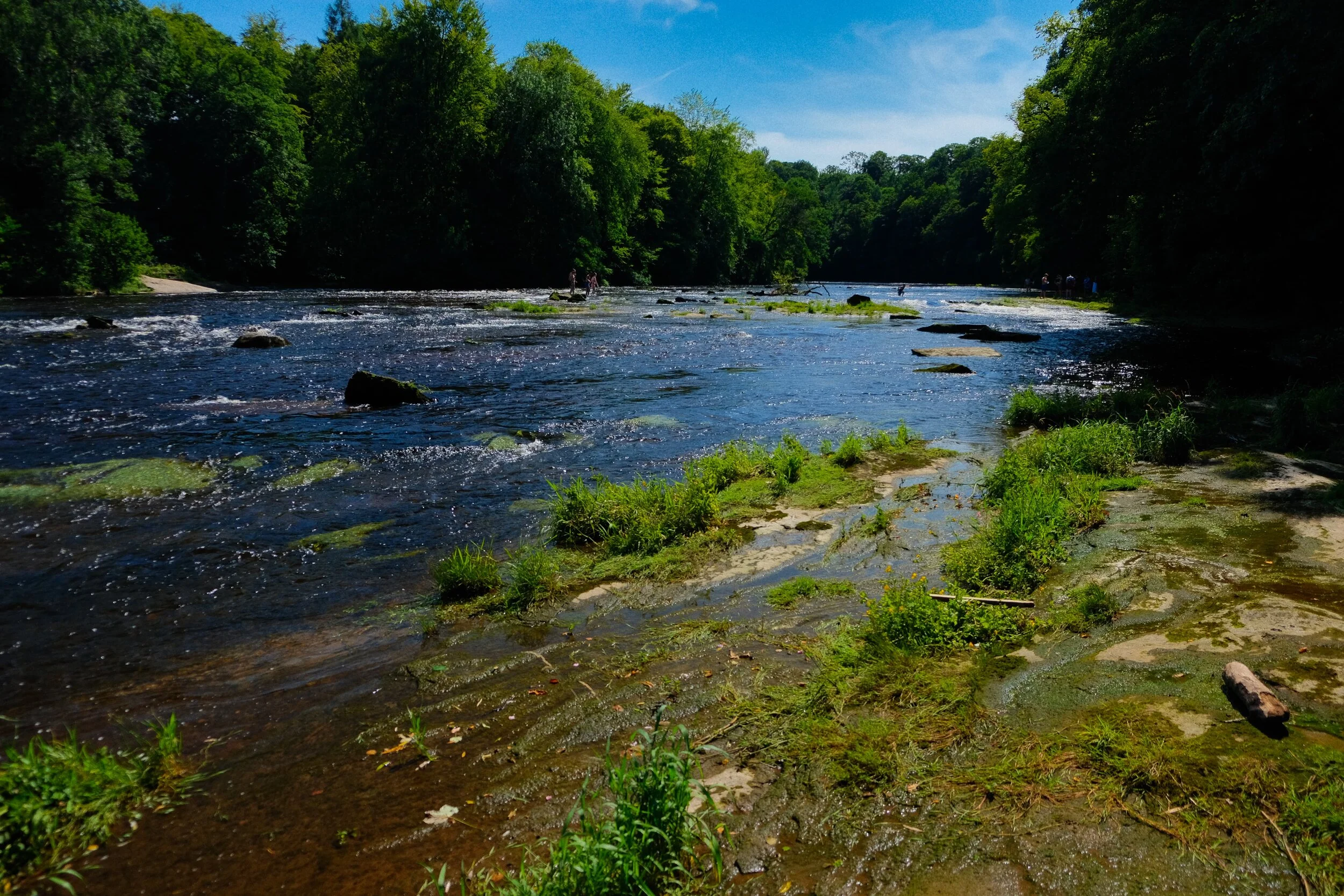  At Wetheral the River Eden has created quite an impressive gorge, surrounded by ancient woodlands. We saw loads of people playing about in the river on this beautiful day, and why not? (Provia, ISO800, f/3.0, 1/2500sec. @ 18mm) 