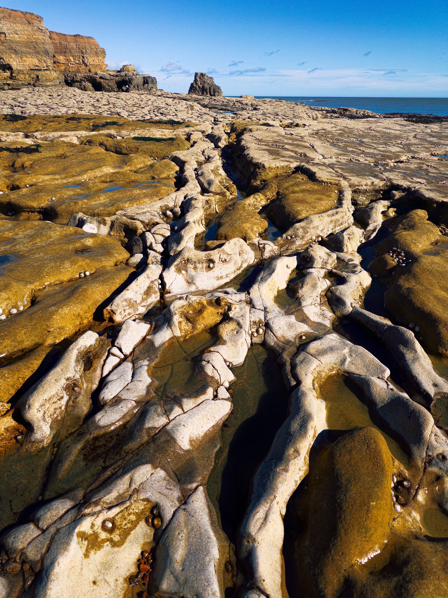 The light-coloured limestone rock formation is from the Permian period, created about 250 to 270 million years ago when the area was covered by a warm, shallow sea. The wavy channels running through the front part of the scene follow natural cracks in the rock, which have been gradually widened over thousands of years by the action of waves. The orange-brown shades come from algae and iron minerals that have rusted on the surface. In the background, the stepped cliffs show layers of ancient seabed sediments that have been revealed through the erosion of the coast over time.