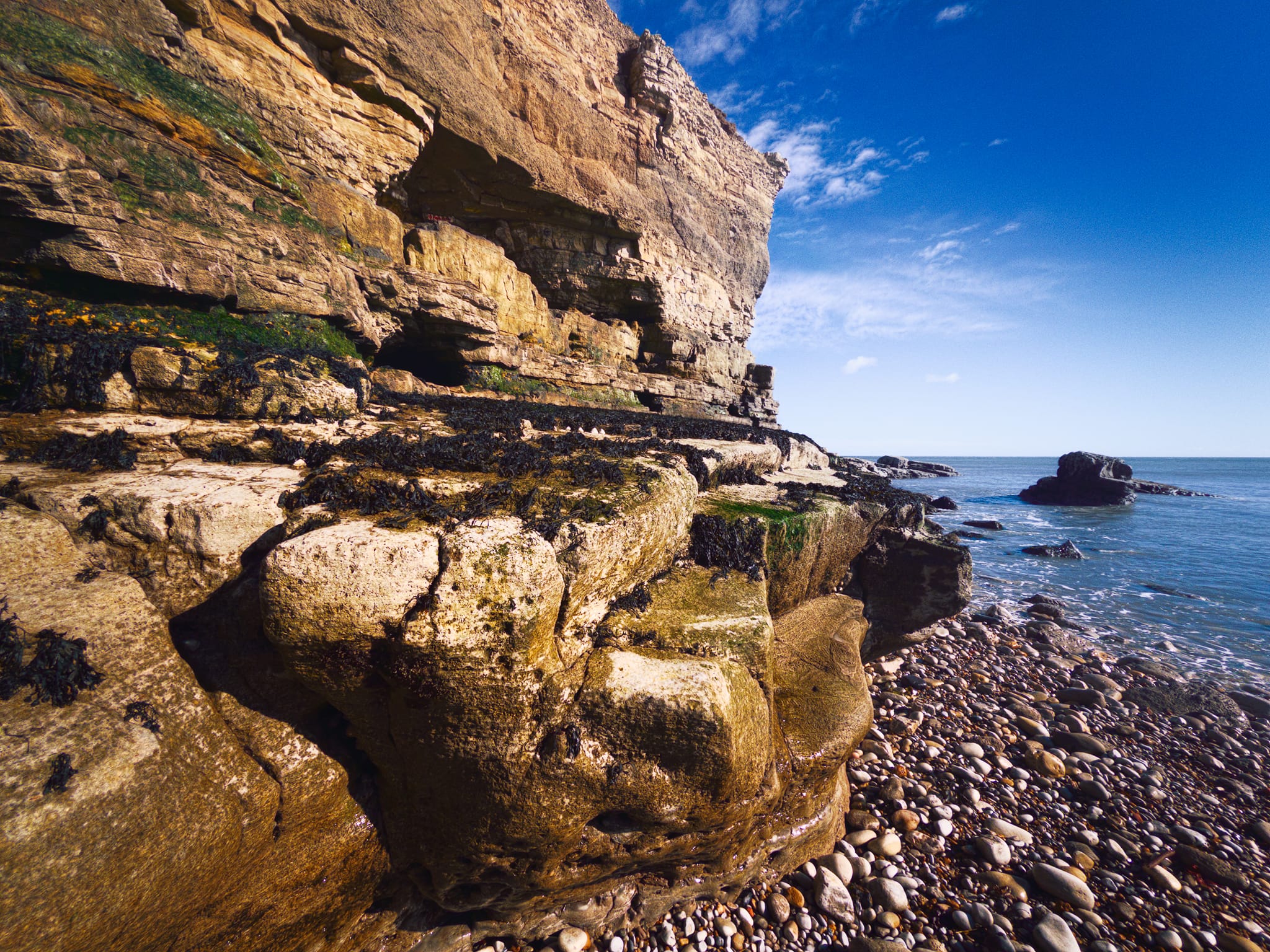 The cliff&rsquo;s terraced structure features harder Magnesian Limestone beds that resisted erosion longer than adjacent layers. The holes higher up are small caves from wave action exploiting joints over centuries, now well above the current waterline, indicating significant retreat.