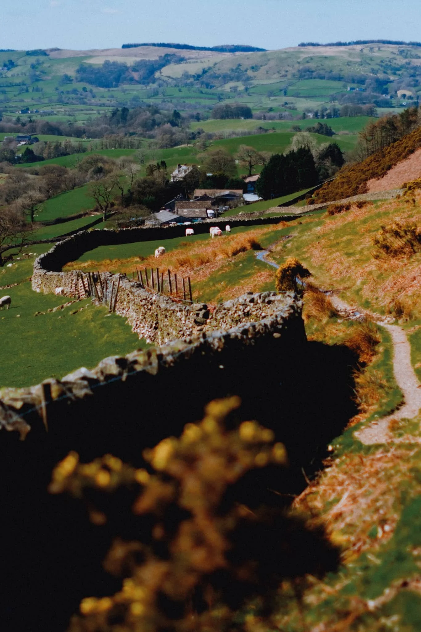  Ostensibly looking back at the way we came, but more than I shot this composition for the winding drystone wall. That&rsquo;s right. 